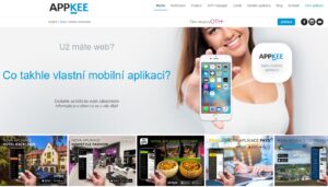 Appkee SEO reference
