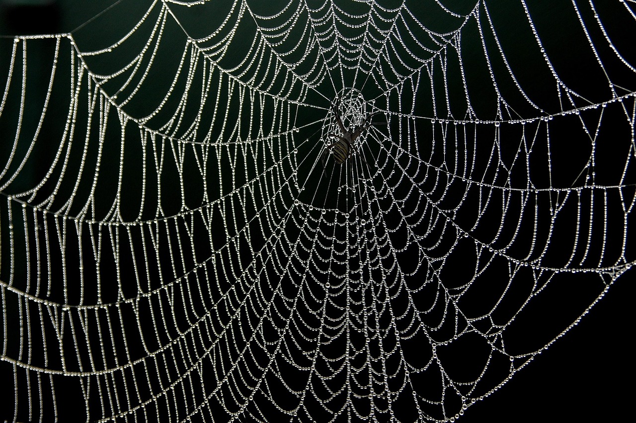 Procházení webu vyhledávačem